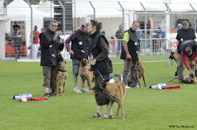 Remise des Prix 151.JPG - CHIENPLUS.COM
